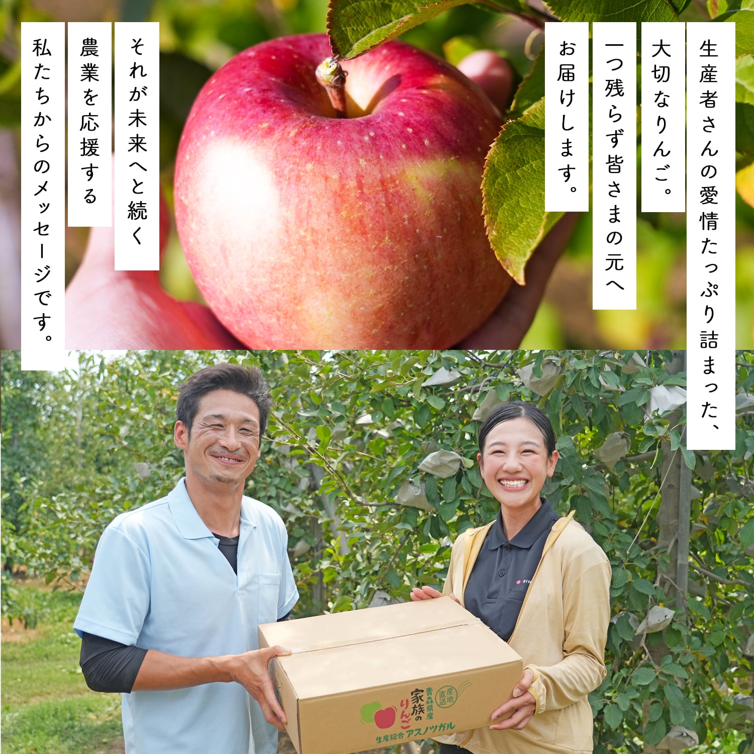 青森県産 ぐんま名月 家庭用訳あり5kg | ニチノウチョイス