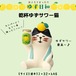 コンコンブル 乾杯ゆずサワー猫