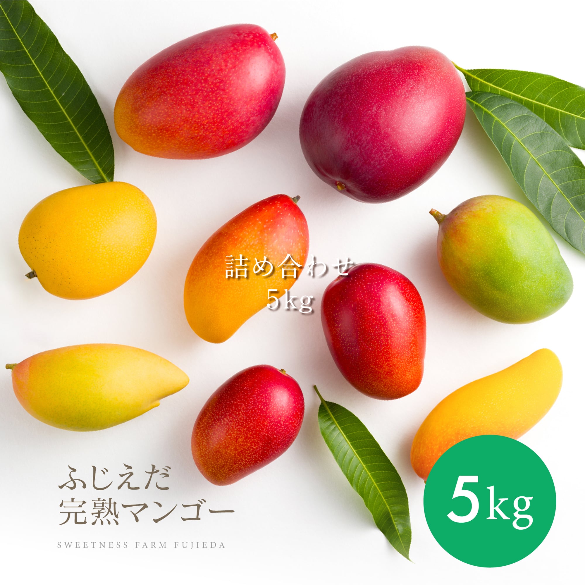ふじえだ完熟マンゴー【通販】｜公式オンラインストア