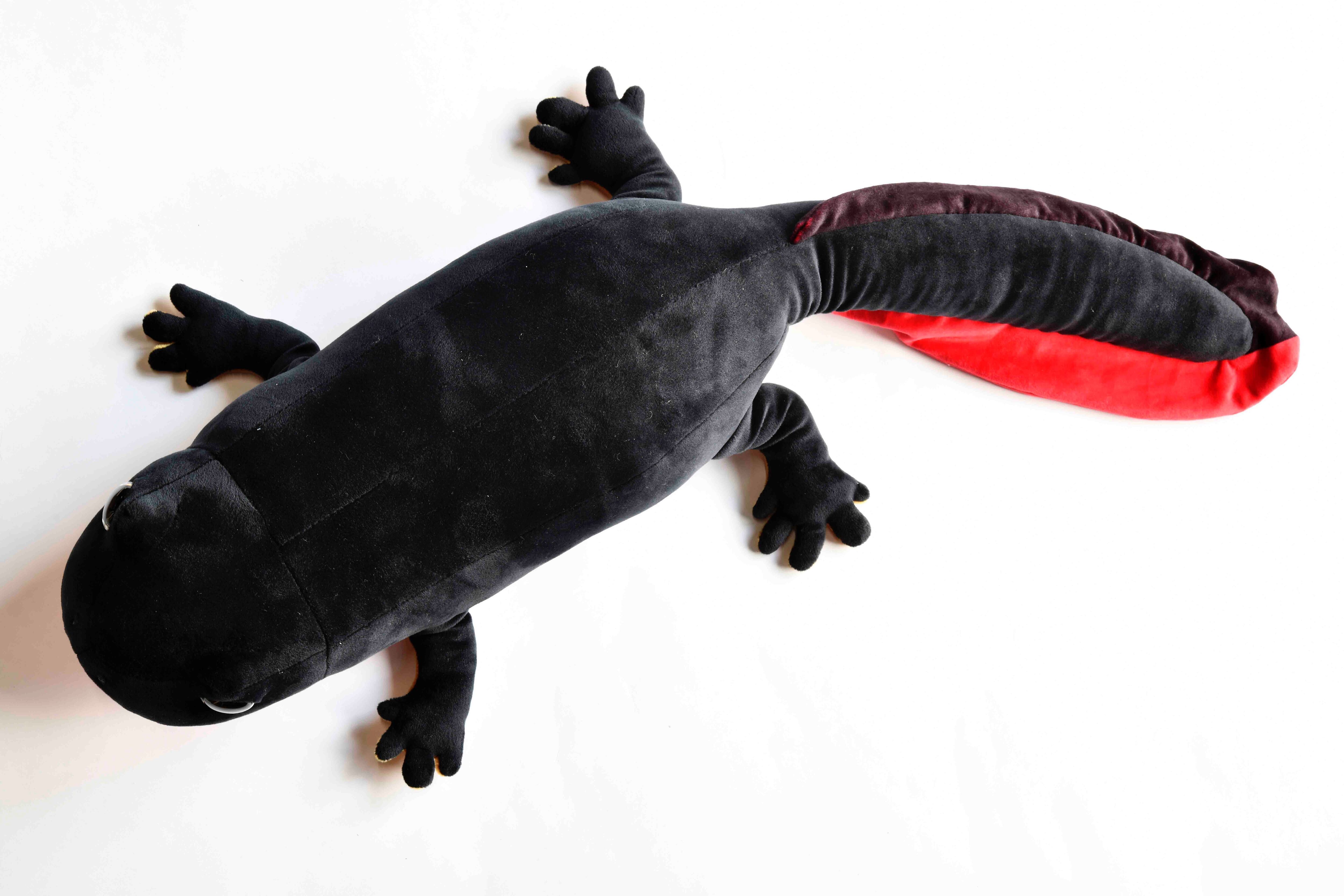 アカハライモリ大（75cm）ぬいぐるみ | 日本両棲類研究所