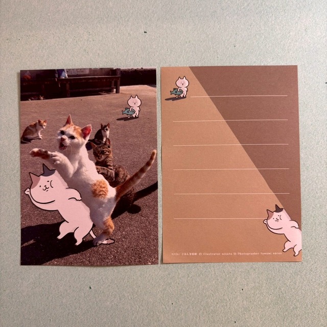 【写真×イラストコラボ】猫島猫の日常 ミニ便箋03　ごはん争奪戦