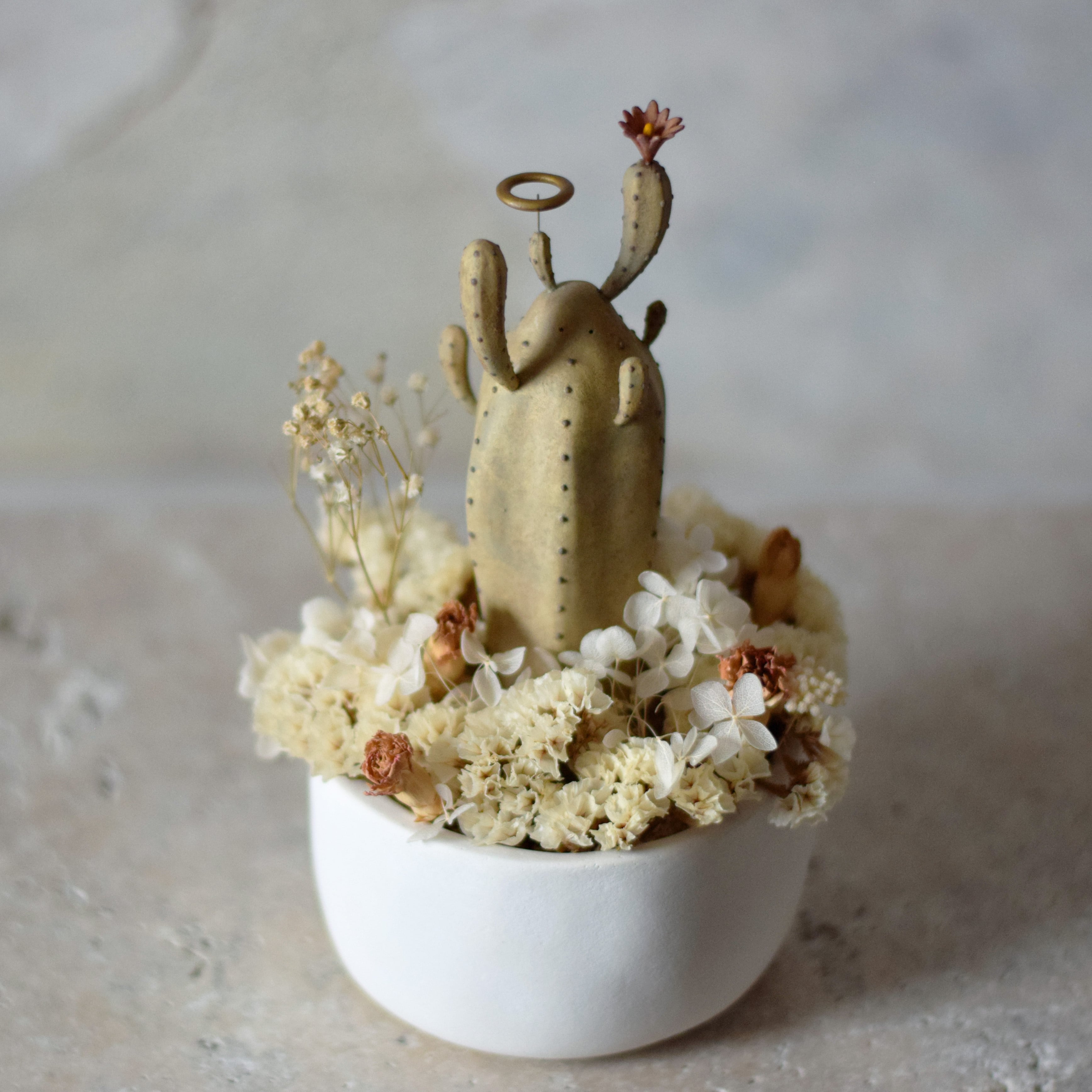 サボテン幽霊（ドライフラワー） | echidna