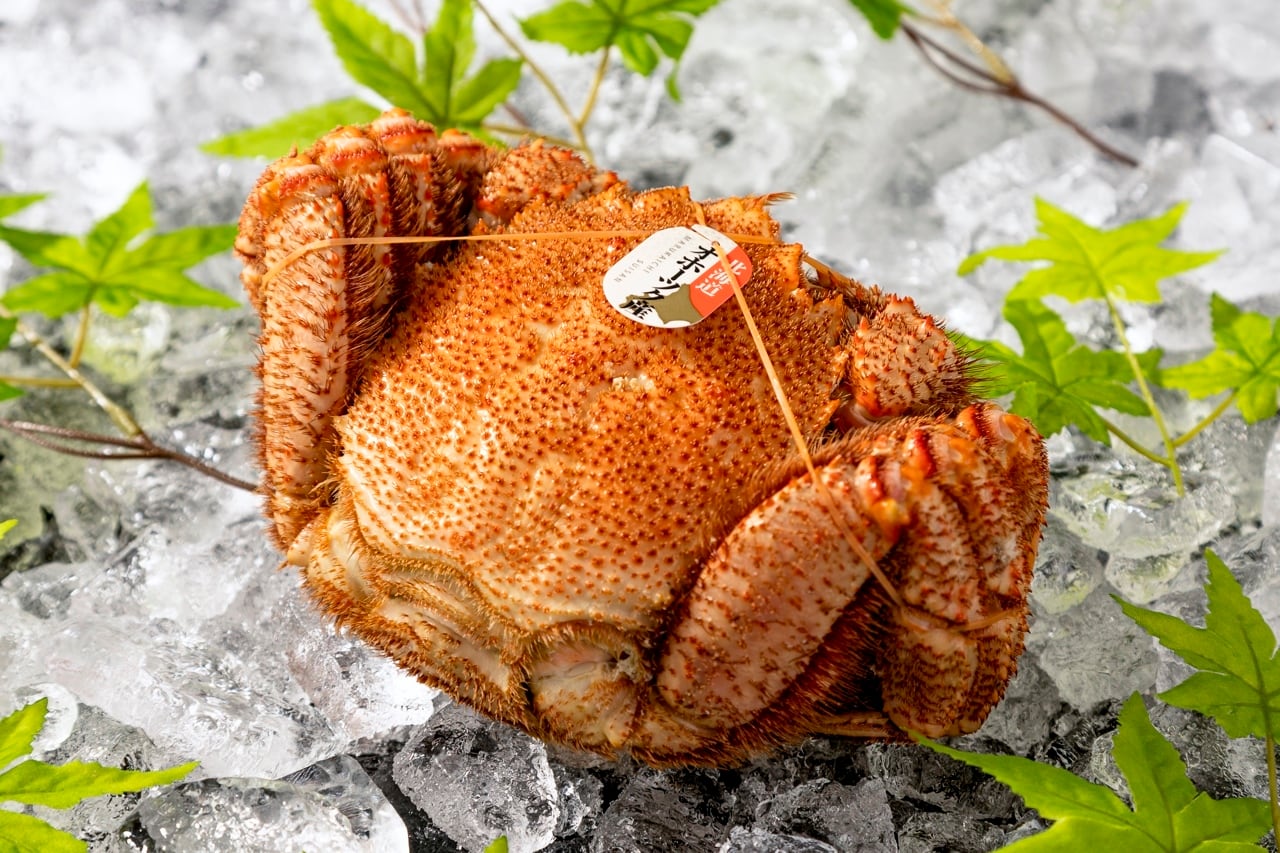 新物毛がに 4特・大【ボイル冷凍】