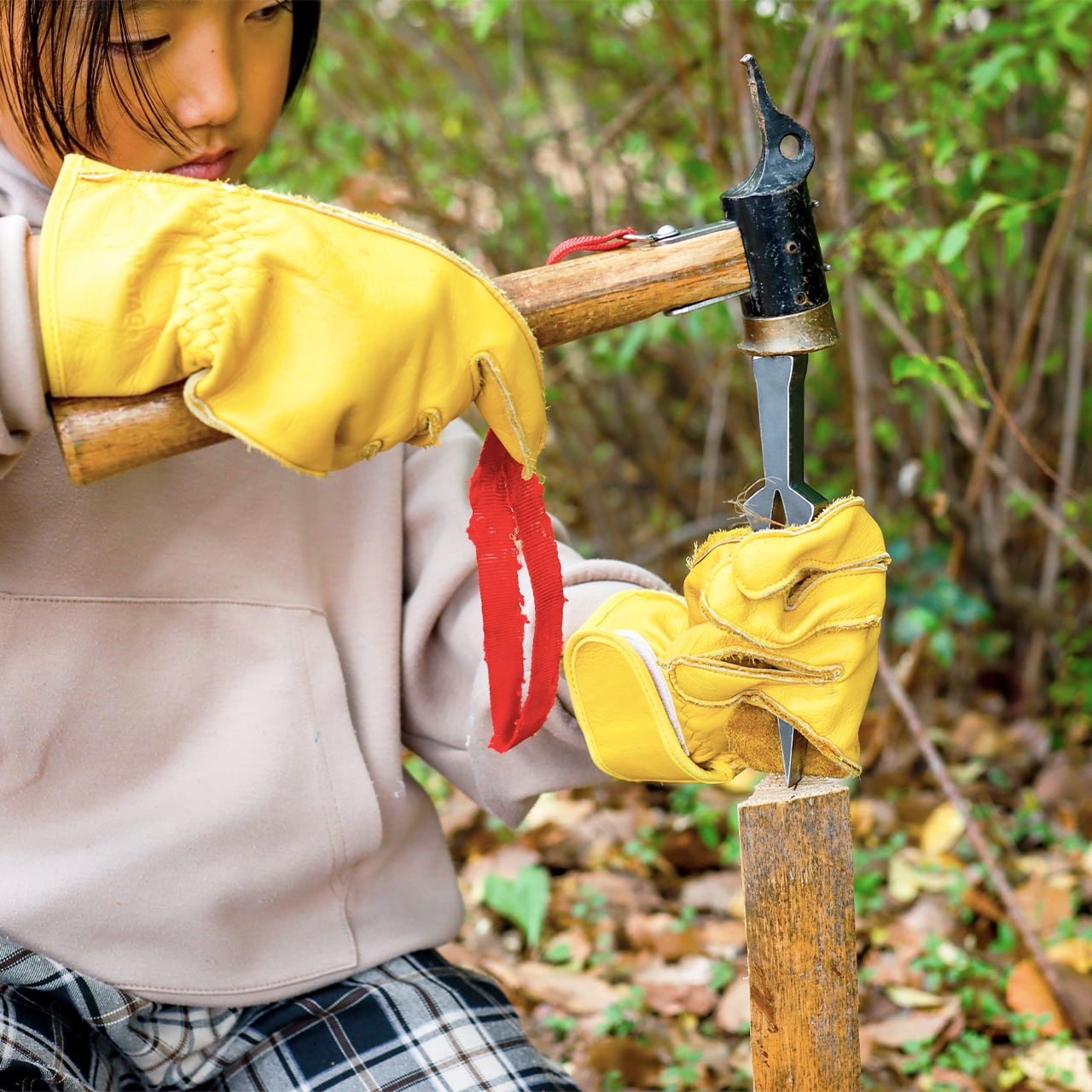 8282ef9966f57b9ec972e86991eb39