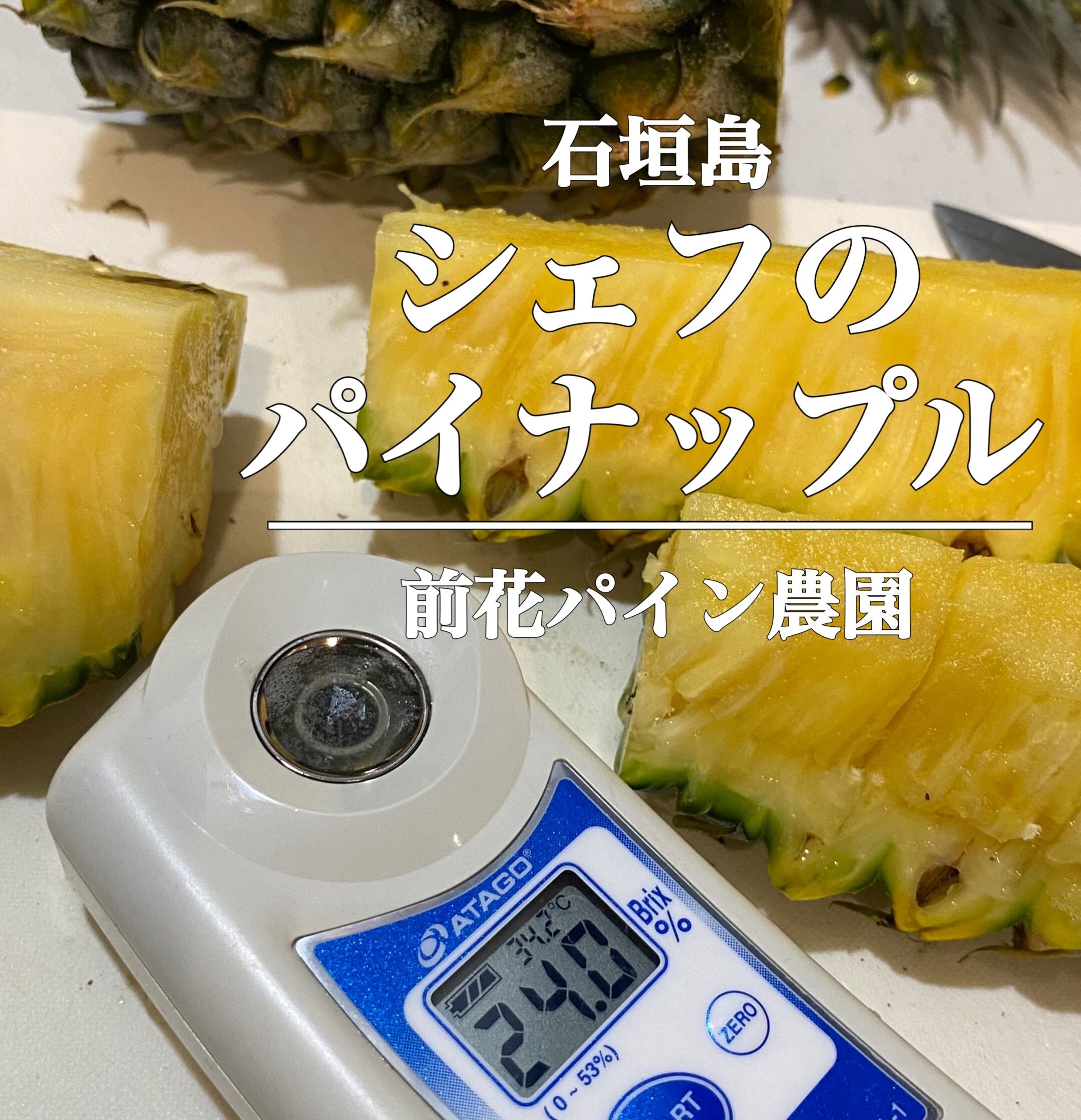 石垣島 前花パイン農園