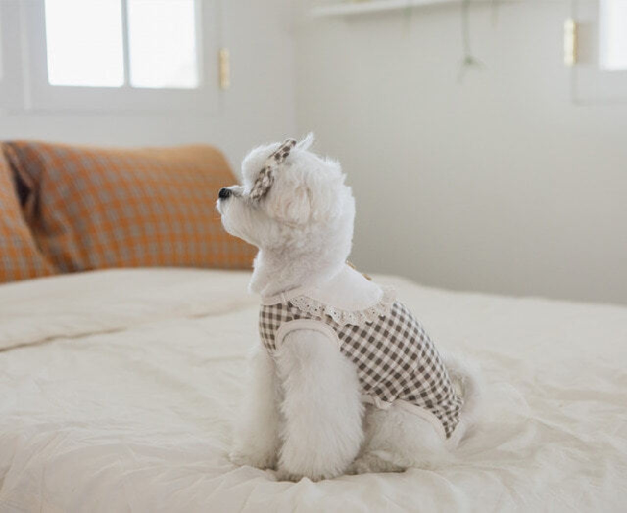 即納【ruanddam】コージーチェックオールインワン ベージュ