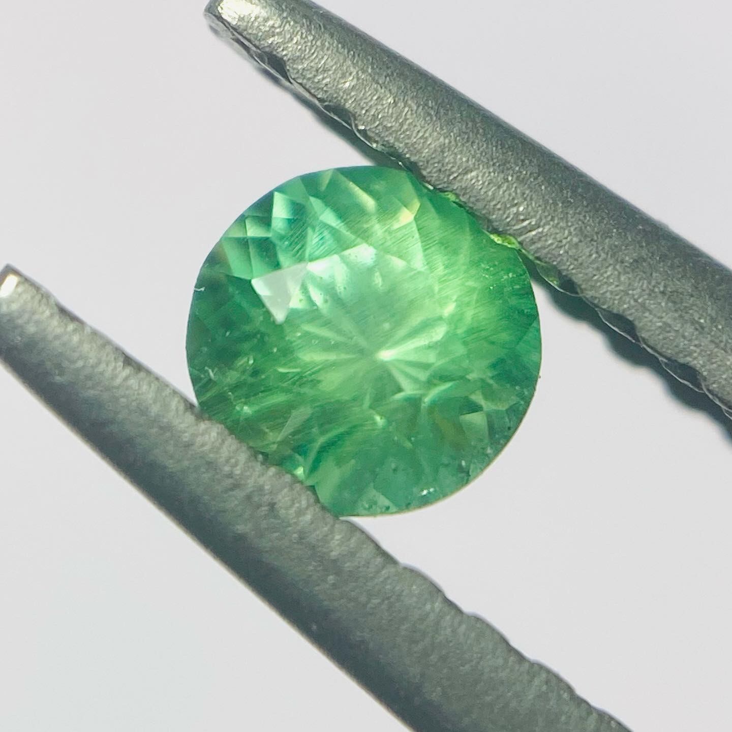 ネオンカラー、多色、シルキー、3拍子揃った希少コーネルピン