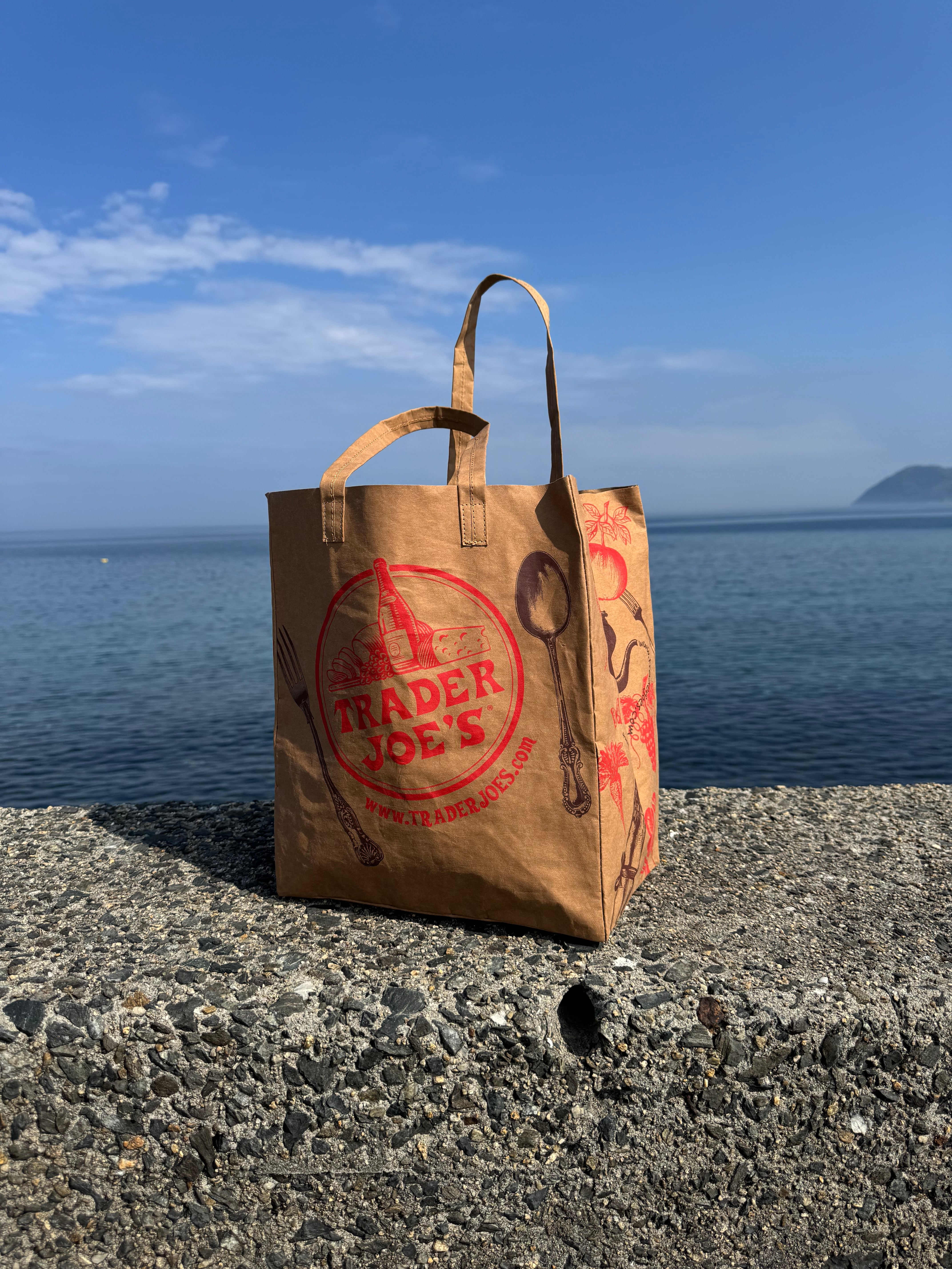Trader Joe's Washable Paper Grocery Reusable Bag | Rei-mart