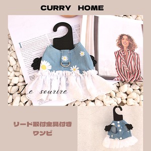 XXS（即納）1点限り【№E00020】CURRY HOME リード金具付き マーガレット柄レースフリルワンピ