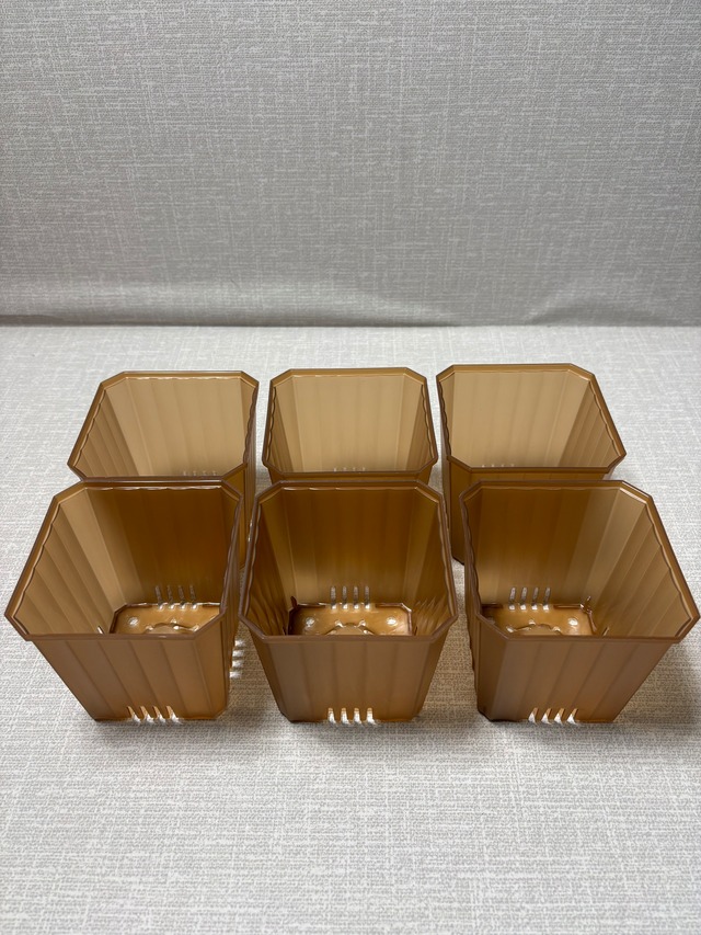 【Ｚ9.5B】9.5㎝ルータルザーザーポット  ブラウン６個セット