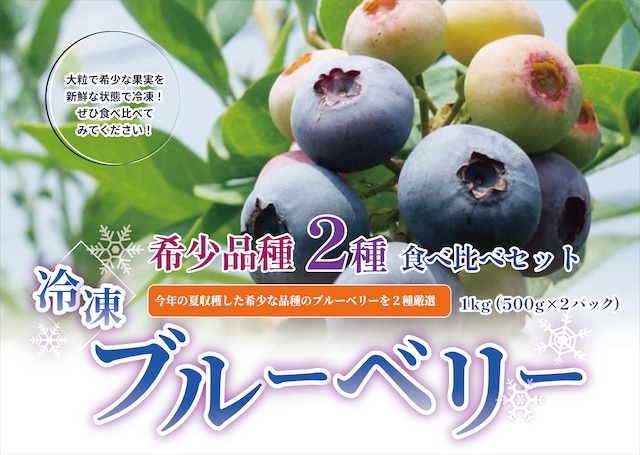【おすすめ希少品種】完熟ブルーベリー500ｇ×２種ー食べ比べセットー