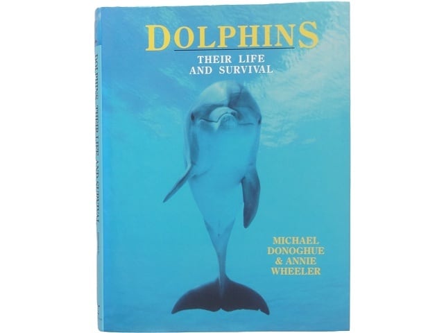 洋書◇自然界のカモフラージュ 動物写真集 本 カエル | 洋書堂
