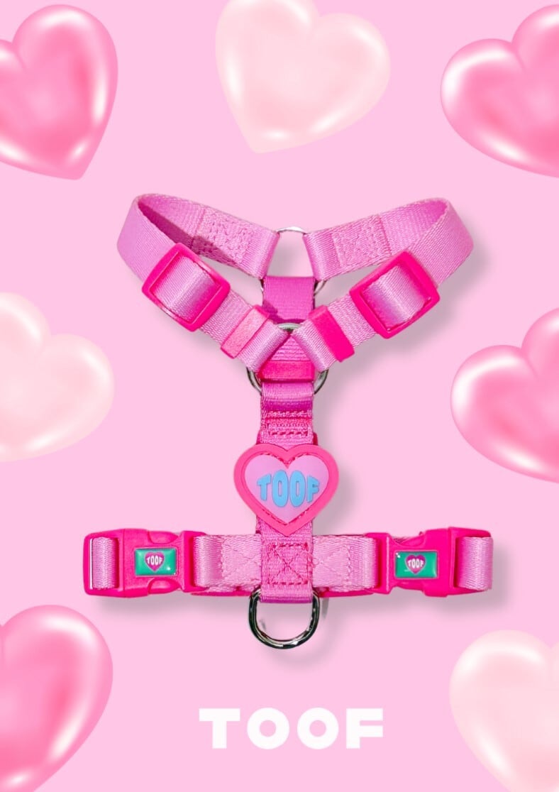 即納【TOOF】Heart Logo H Harness (PINK)