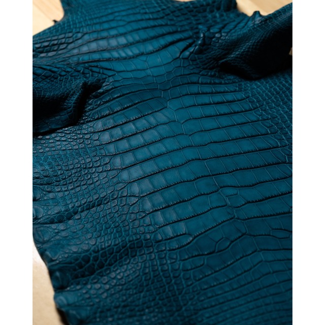 アリゲーターワニ(コバルト) カスタム