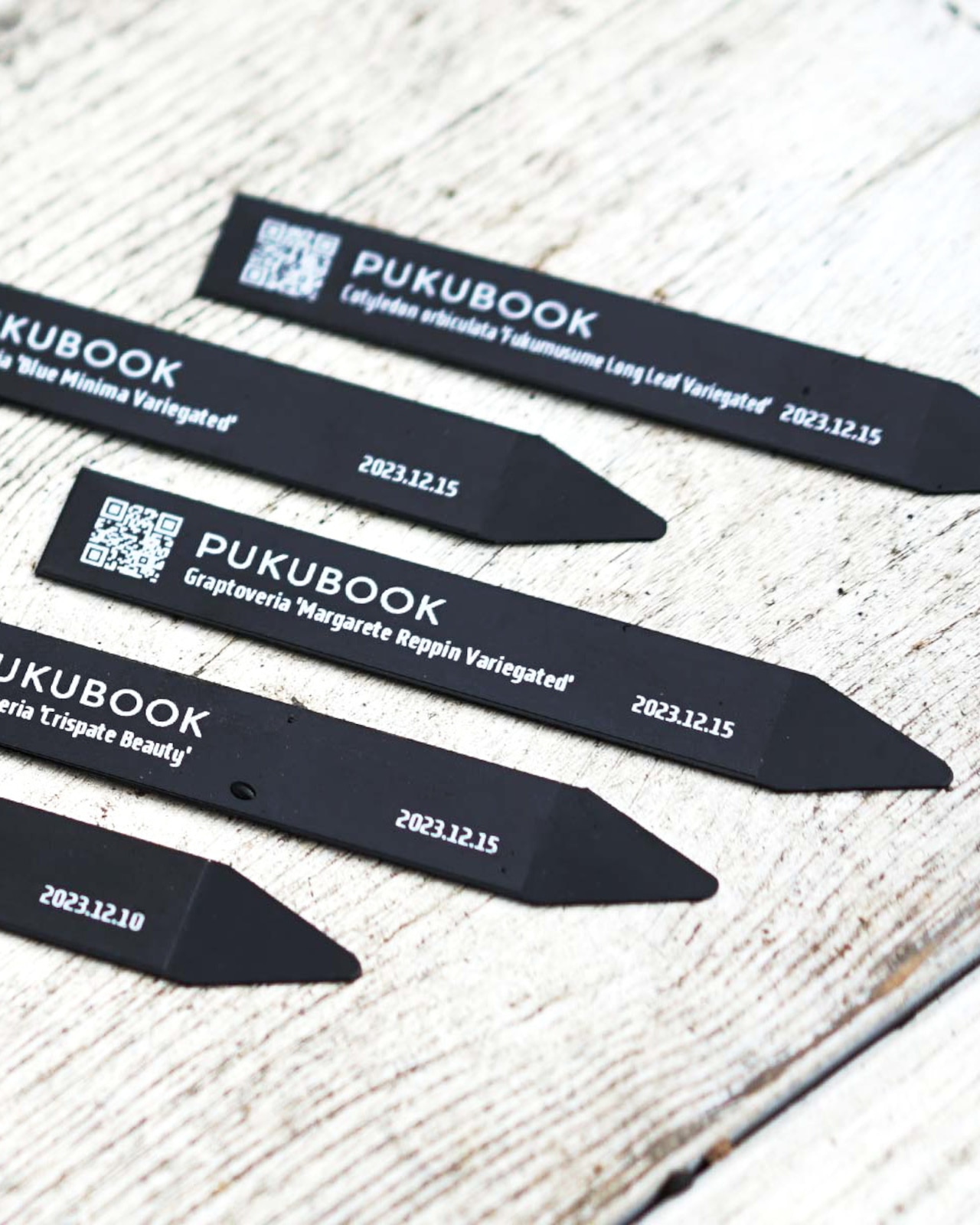 PUKUBOOKオリジナル品種名ラベル（再発行）