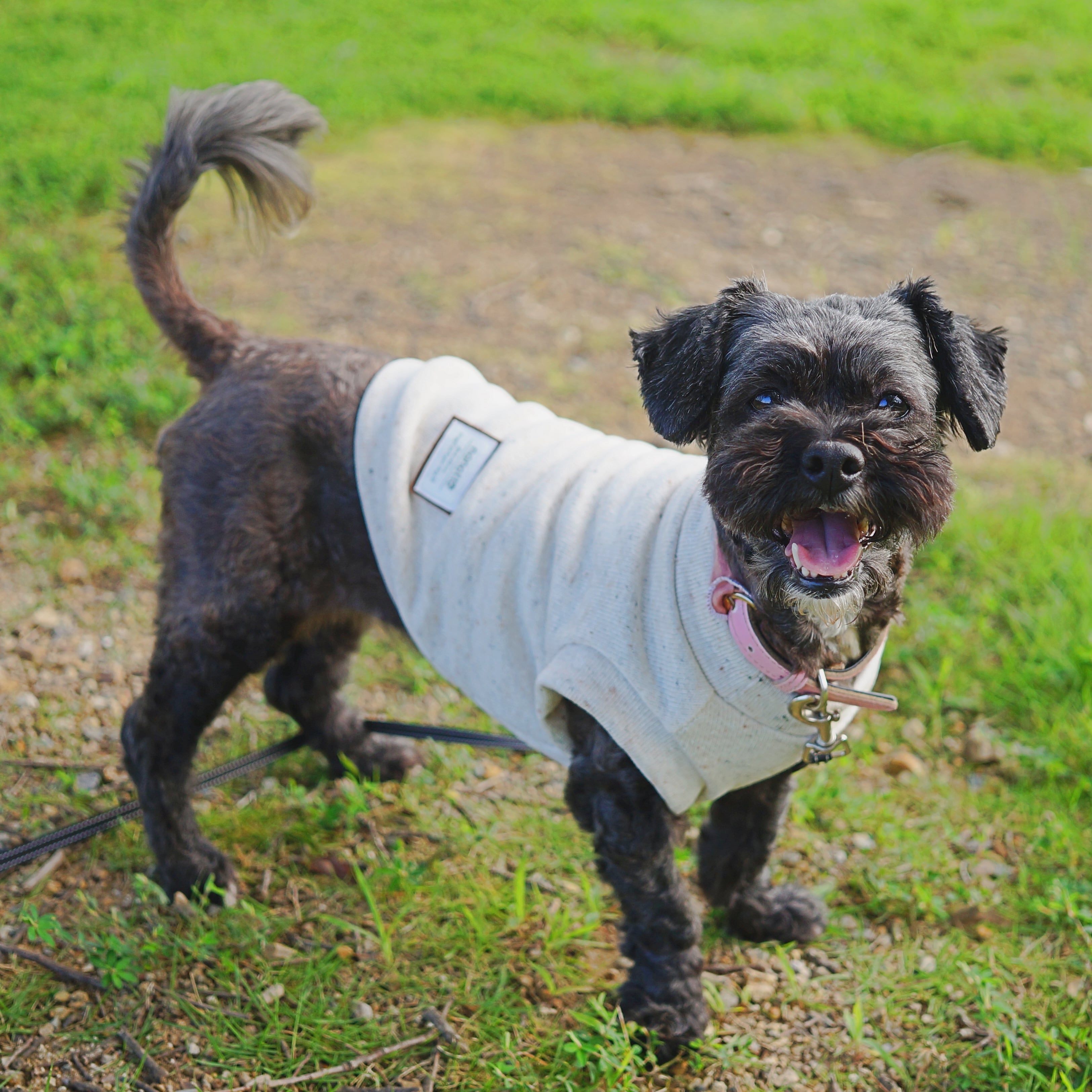 ジャズネップニットタンクトップ 犬服【ハンドメイド】 | nanotto