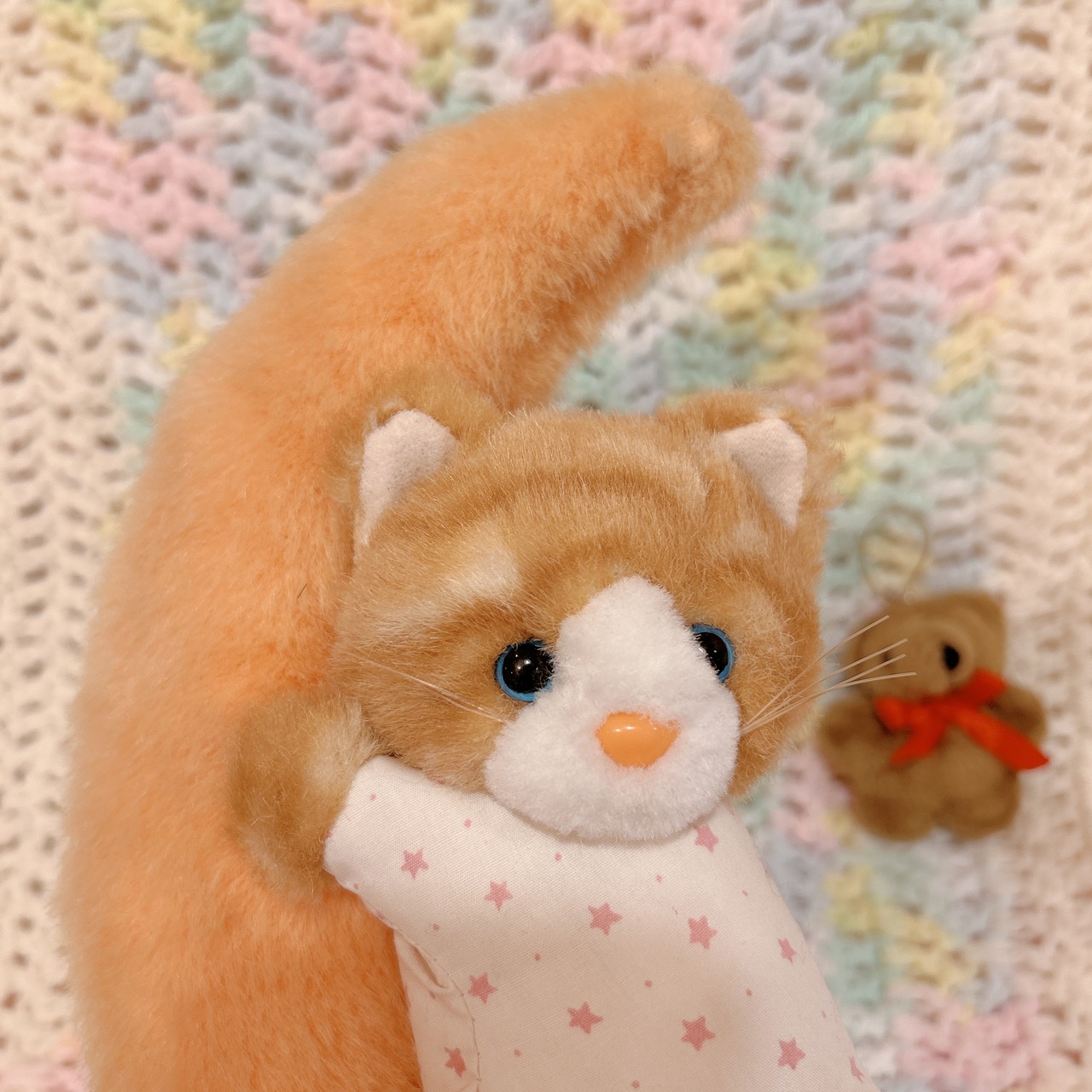 catの画像02