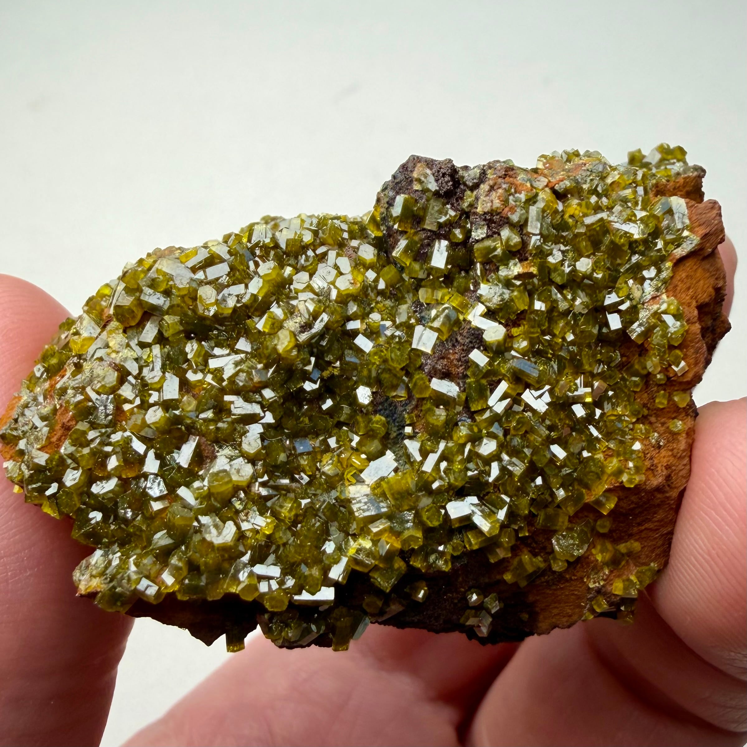 パイロモルファイト【Pyromorphite】コンゴ共和国産 | PEANUTS MINERALS
