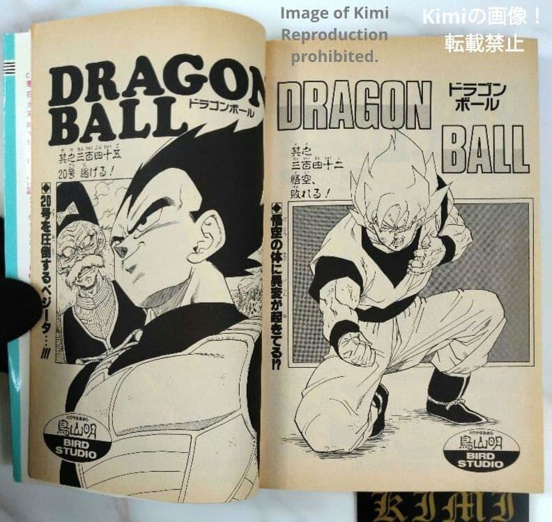 DRAGON BALL 29 Comic Book 初版 第1刷 1992 鳥山 DRAGON BALL 29 Comic Book 初版 第1刷発行 1992 鳥山 明 DRAGON BALL