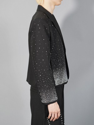 【ALUDE SELECT】gradation space lame jacket