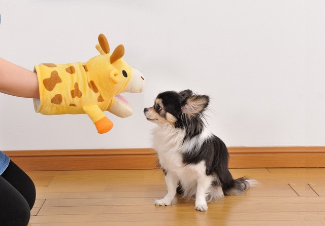 ボンビアルコン (Bonbi) 犬用おもちゃ アニマルミトン HAPPY ZOO きりん