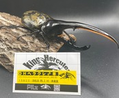 即ブリ《ヘラクレス・ヘラクレス 158mm ペア》