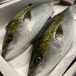 オリーブハマチ【1尾 4.0～4.2kg】