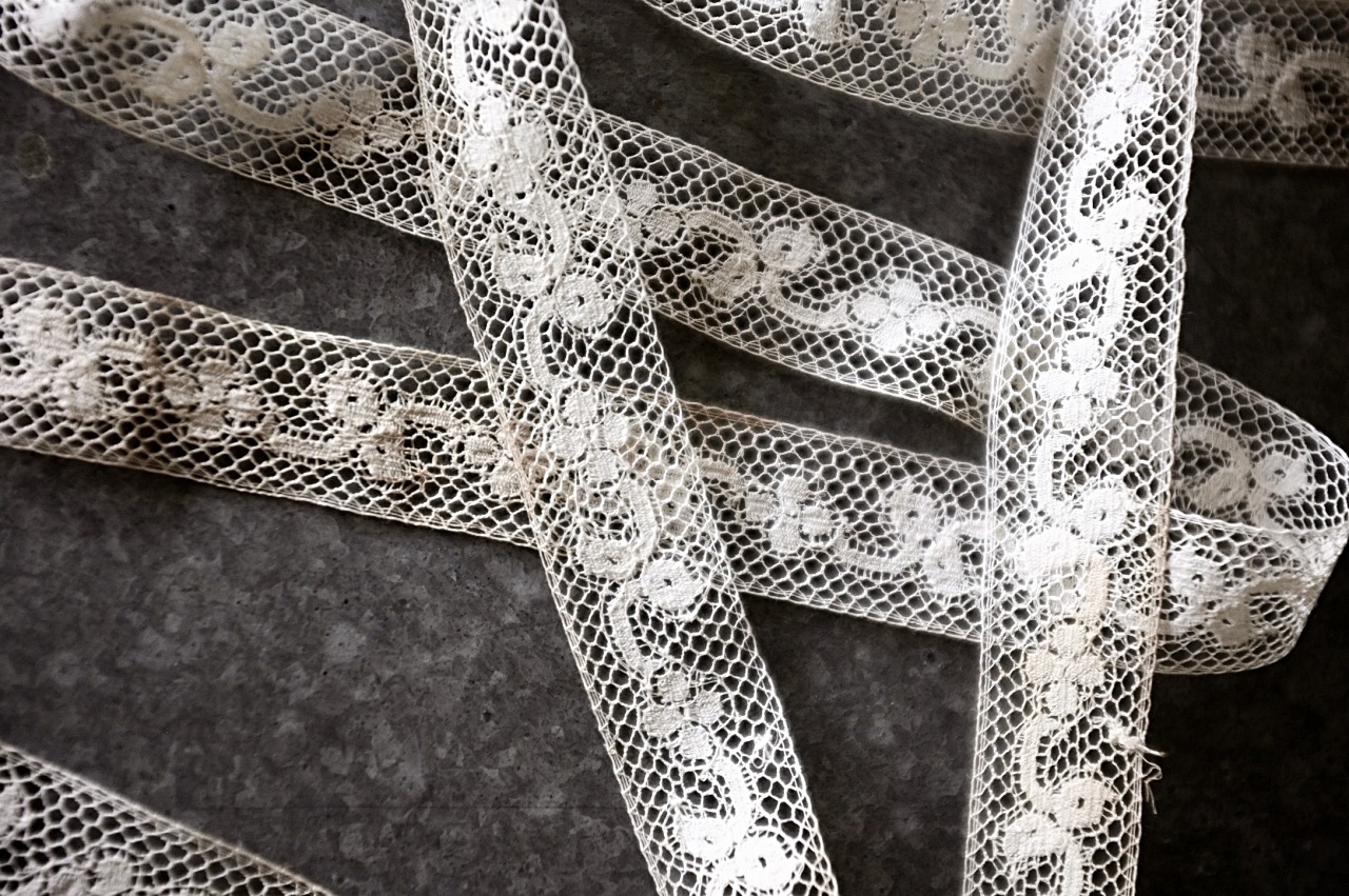 フランス 1900s セピアの蔓薔薇とアンティークレース 100x2.3c マリーヌ br100mn