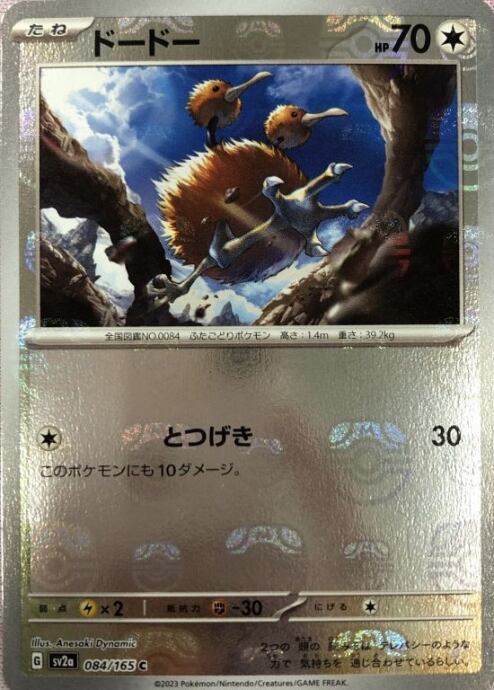 【美品】ドードー(マスターボールC)