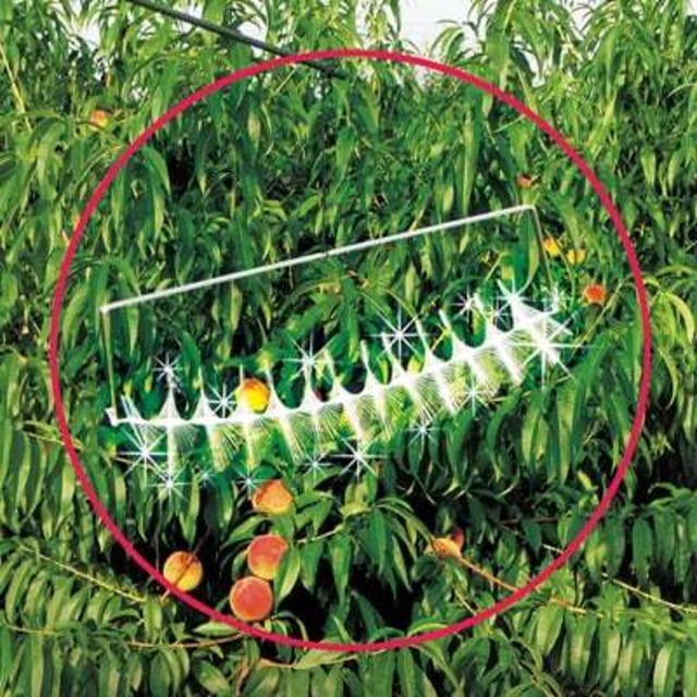 カラスなぜ逃げる? ニューどこでも10個セット 撃退率95％以上 カラス撃退 カラスよけ