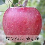 サンふじ 5kg 箱