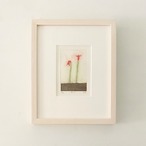 荒木珠奈「花たち」ARAKI Tamana/ etching, aquatint thumbnail 2
