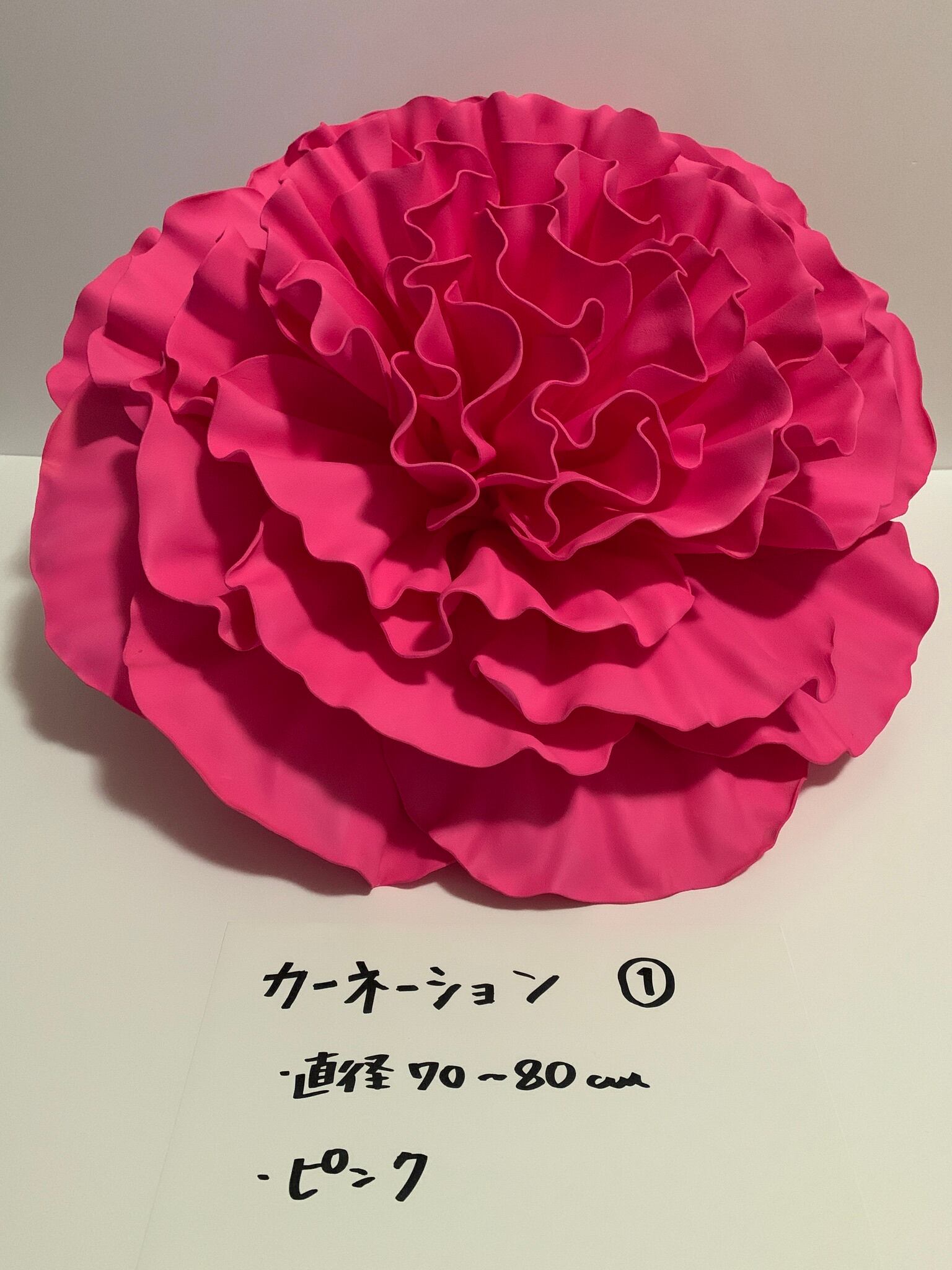 レニディフラワー カーネーション Giantflower