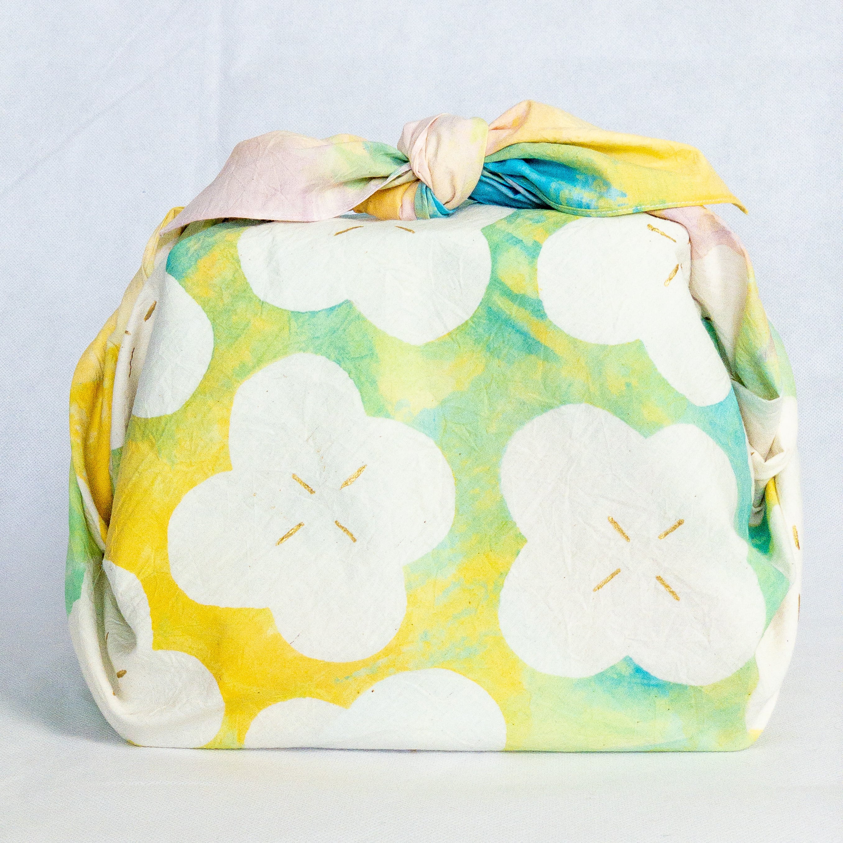 82b805e8a8ec1075dd67a270365539