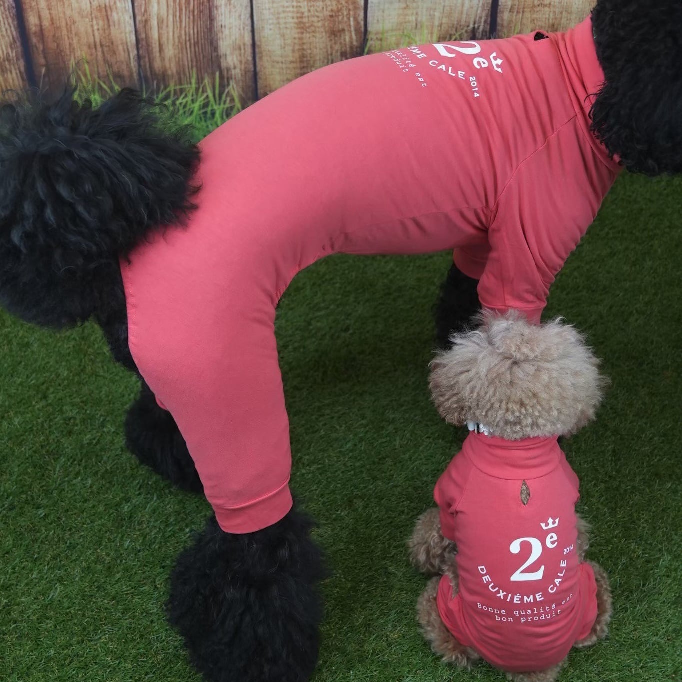 243605]ストレッチロンパース | 犬服ブランド 2e deuxieme cale