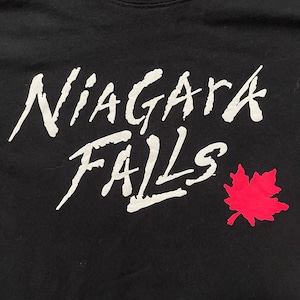 【PASSPORT】カナダ製 ナイアガラの滝 プリント Tシャツ NIAGARA FALLS メイプル L US古着