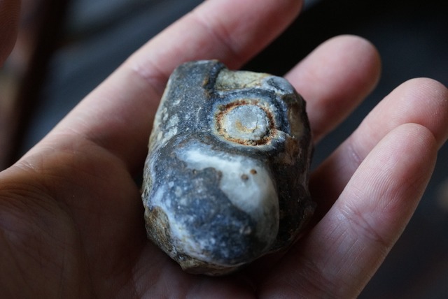 ゴビアゲート Gobi Desert Eye Agate 549