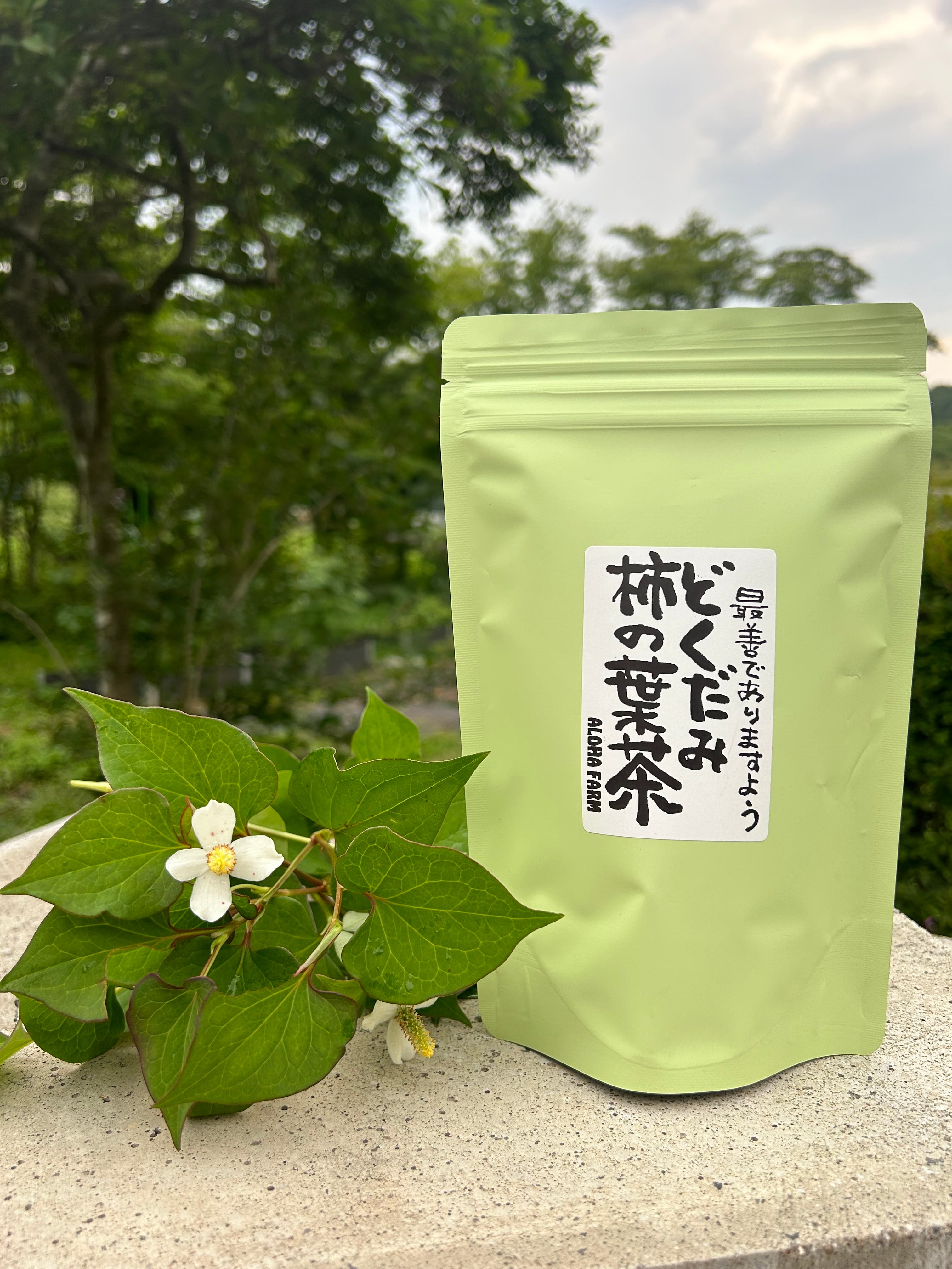 那須町産 柿の葉とドクダミ茶 8パック | ALOHA FARM