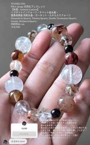 ⭔ お客様専用ページ ✦ rinn.0416　　☆サイズ変更17cmまで