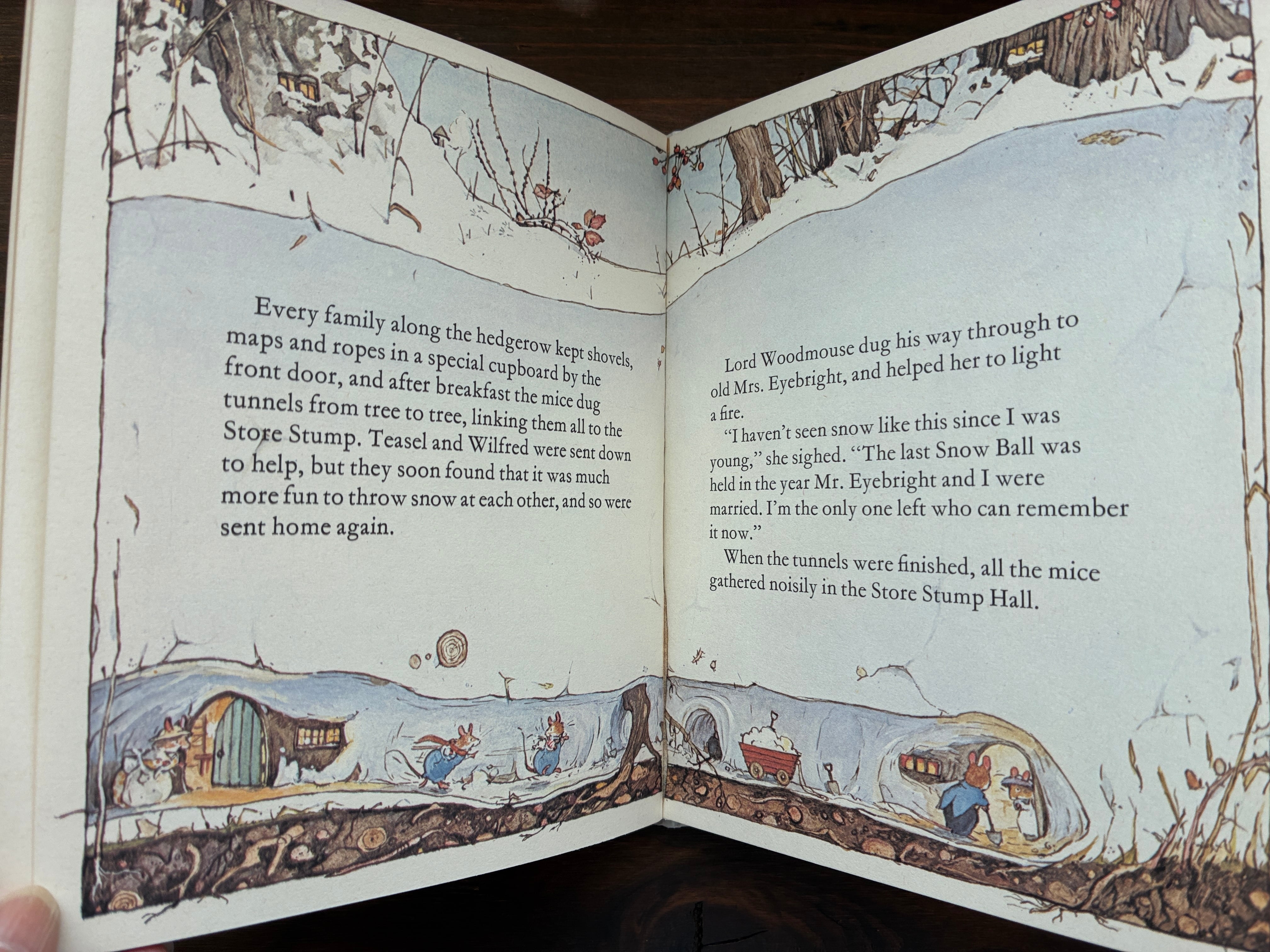 BRAMBLY 　HEDGE (のばらの村のものがたり））