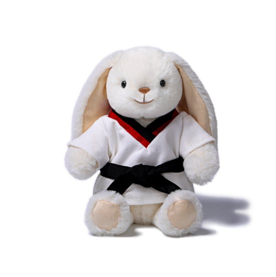 Taekwondo Smiling Leveret_MC400254