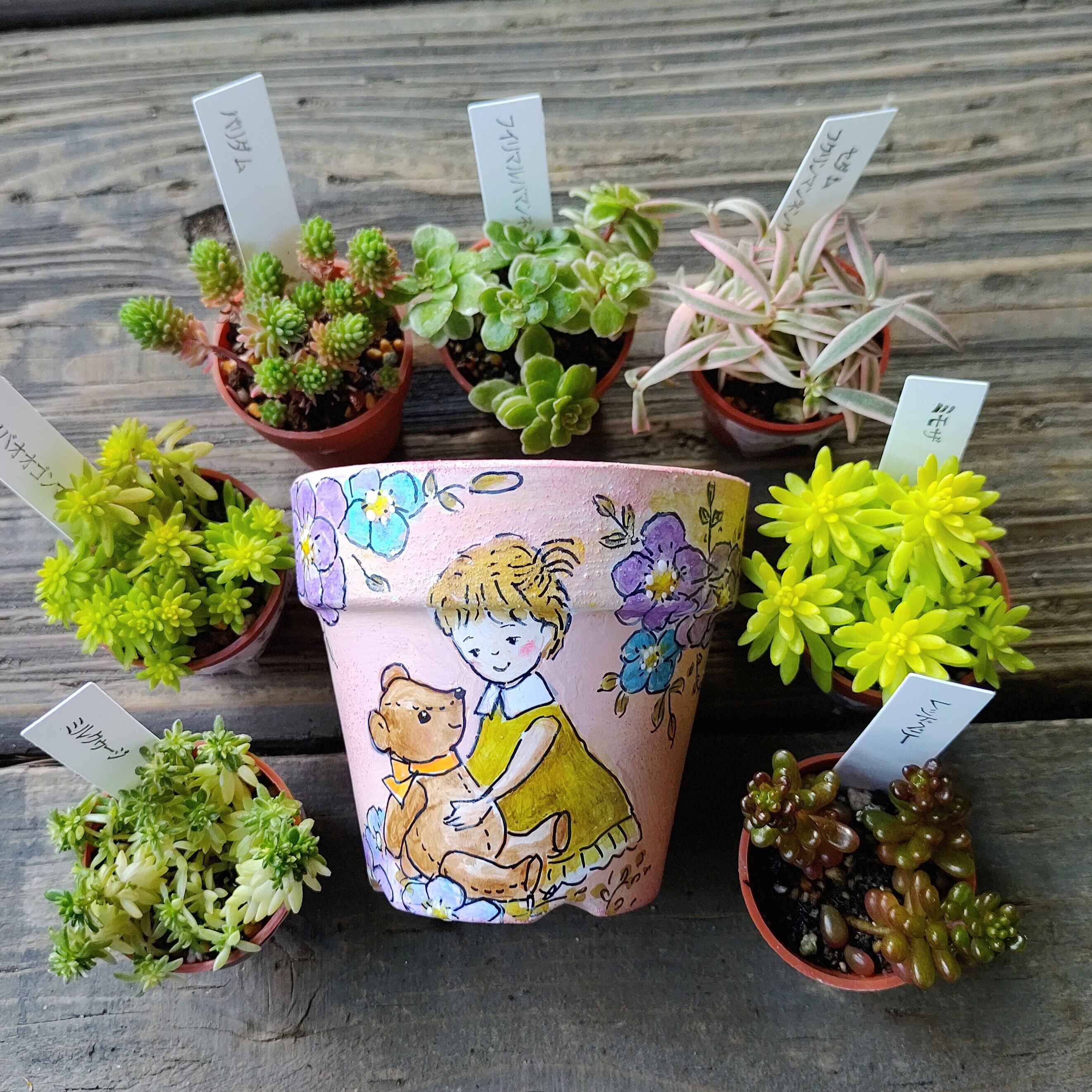 作家さん | RuPo 多肉植物専門店