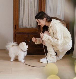 即納【stroll】Lumiere Collar (Etoupe)