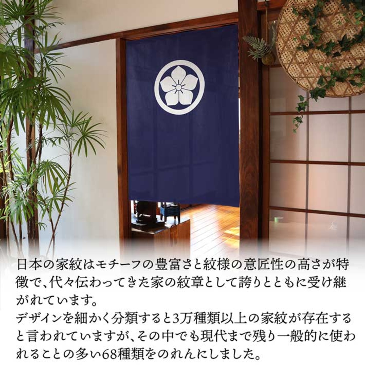 【受注生産】のれん 家紋 丸に桔梗 全5色 幅85×丈120cm