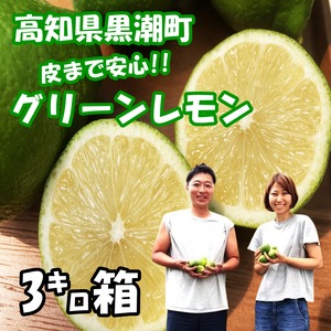 国産グリーンレモン　3キロ箱（L.M.Sサイズミックス20～40個）