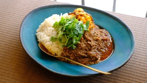 冷凍カレーソース【飛騨地鶏の無水カリー】