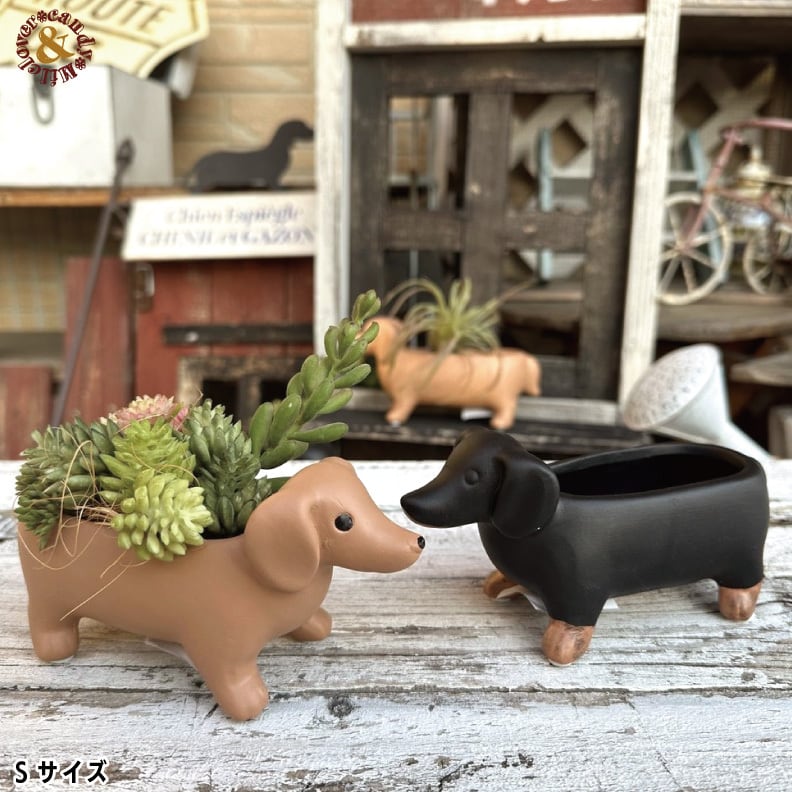 テラコッタ植木鉢 3個セット 犬デザイン ちいさなダックスのテラコッタポット｜多肉植物 寄せ植え用 犬型