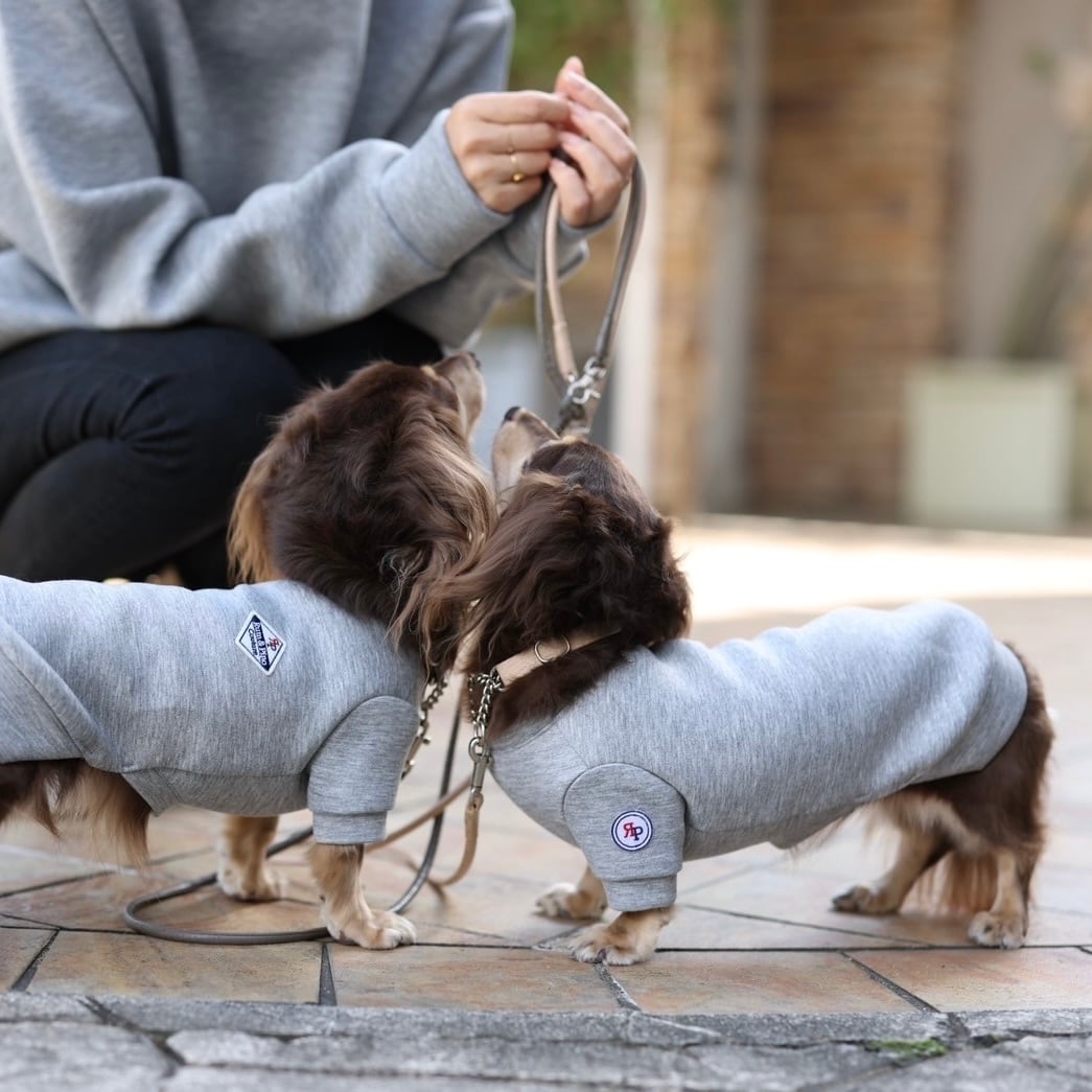 お揃いスウェット(ダンボールニット)【ご愛犬用】 | カニンヘン