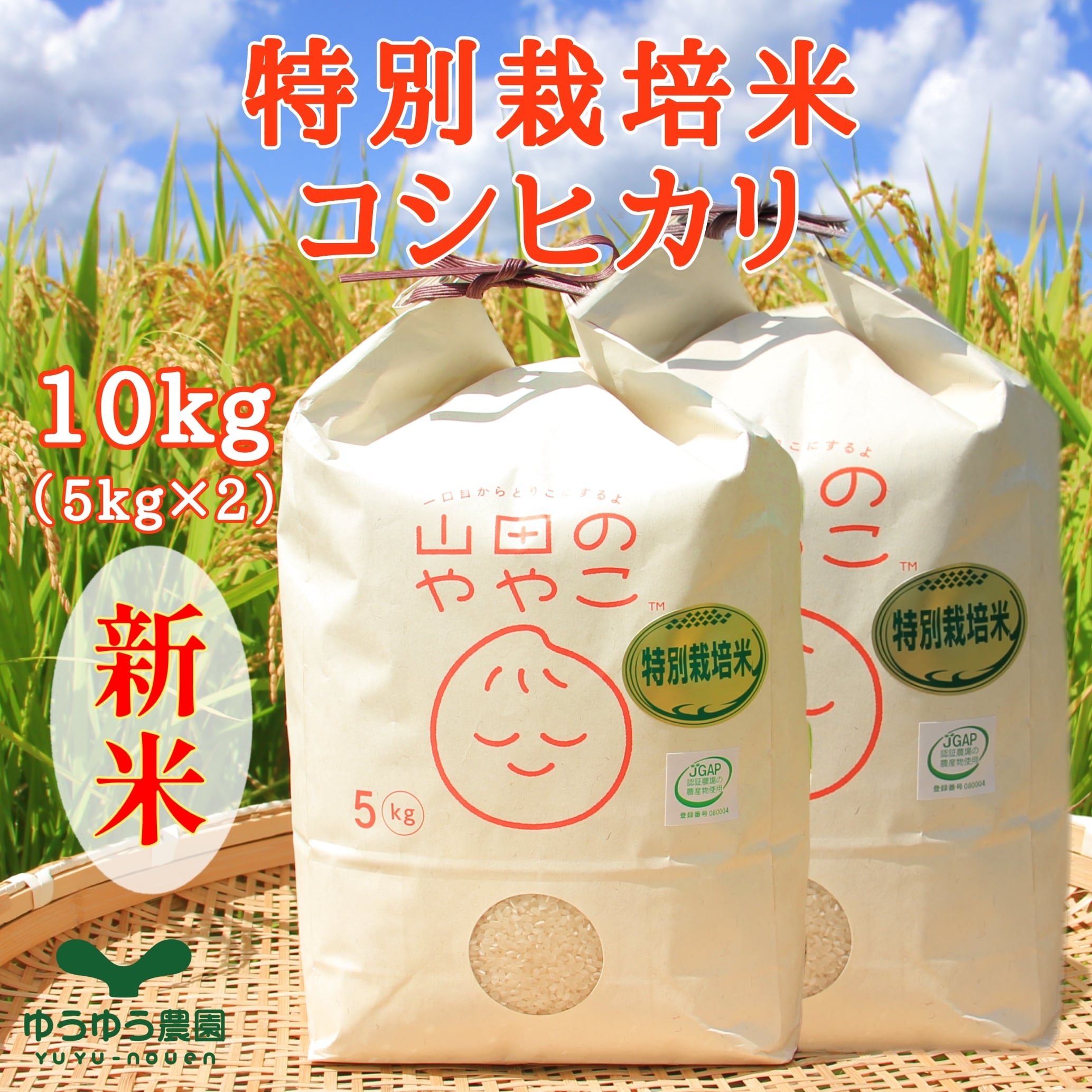 新米 山田のややこセット【10kg@5kg×2】特別栽培米 | ゆうゆう農園
