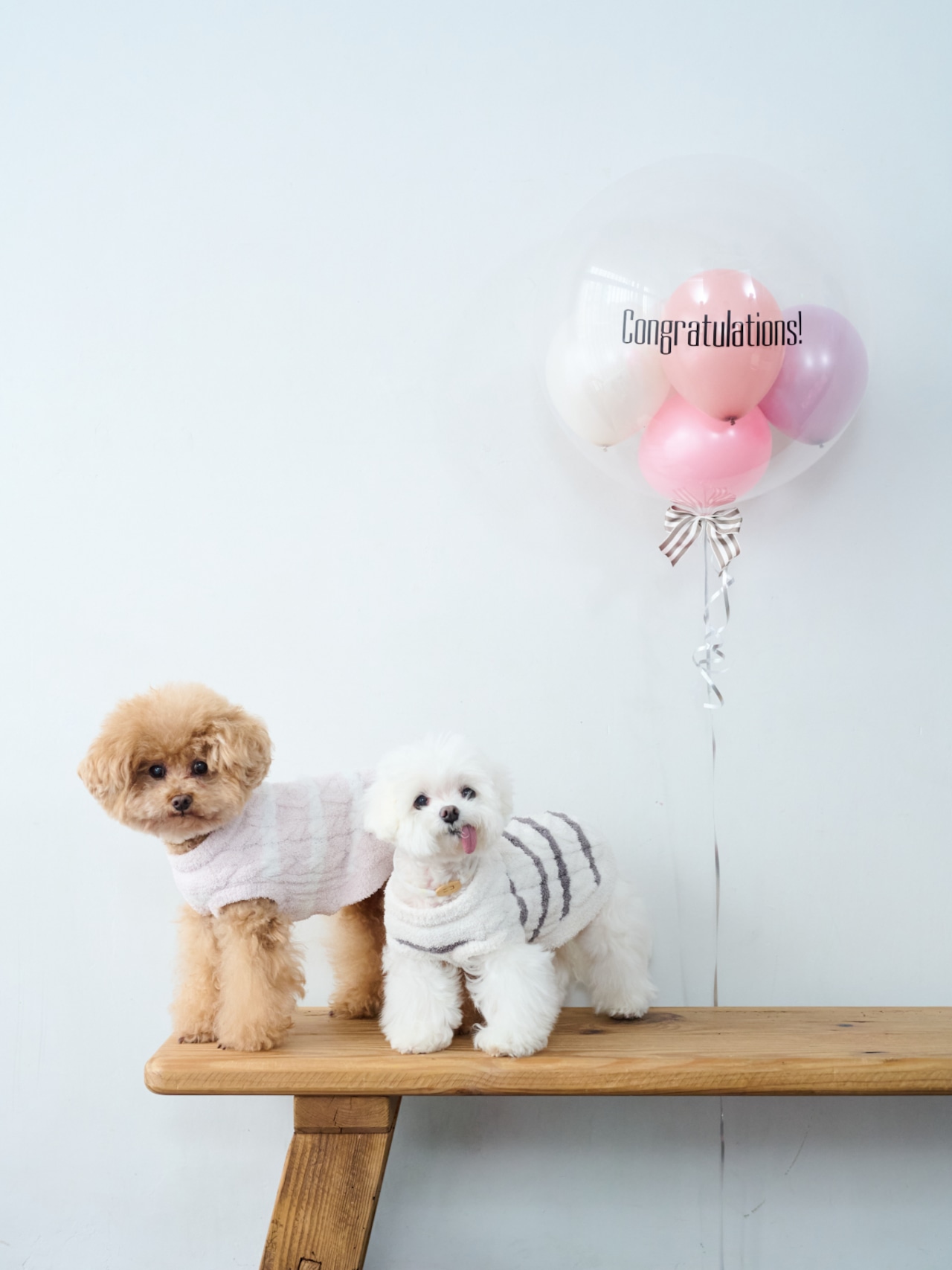 BUBBLE BALLOON sizeM イエロー